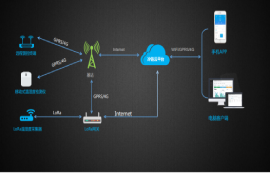 LPWAN(1)
