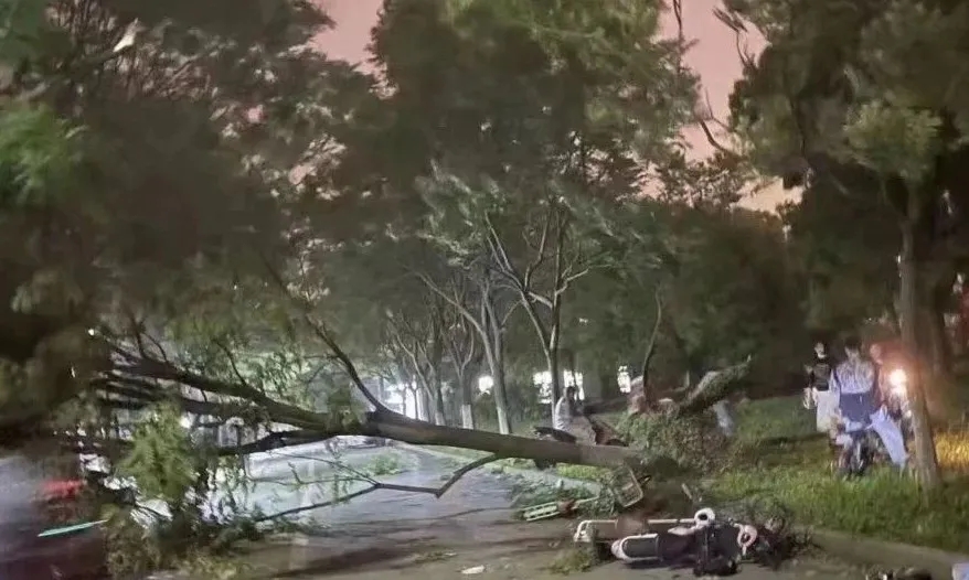 江蘇南通等地遭遇大風(fēng).webp