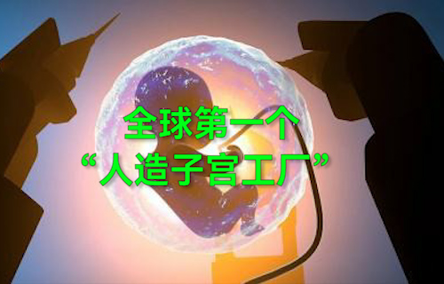 【科普視頻】全球第一個“人造子宮工廠”