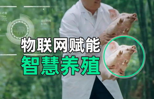 物聯(lián)網無線通信模塊在智慧養(yǎng)殖領域的應用