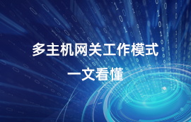 無線數(shù)傳模塊多主機(jī)網(wǎng)關(guān)工作模式，一文看懂！