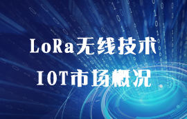 LoRa無線技術(shù)在物聯(lián)網(wǎng)應(yīng)用市場的概況和發(fā)展