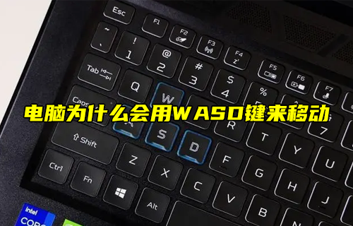【科普視頻】電腦為什么會用WASD鍵來移動？