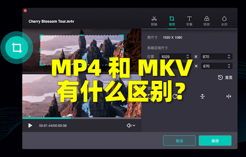 【科普視頻】MP4和MKV有什么區(qū)別？