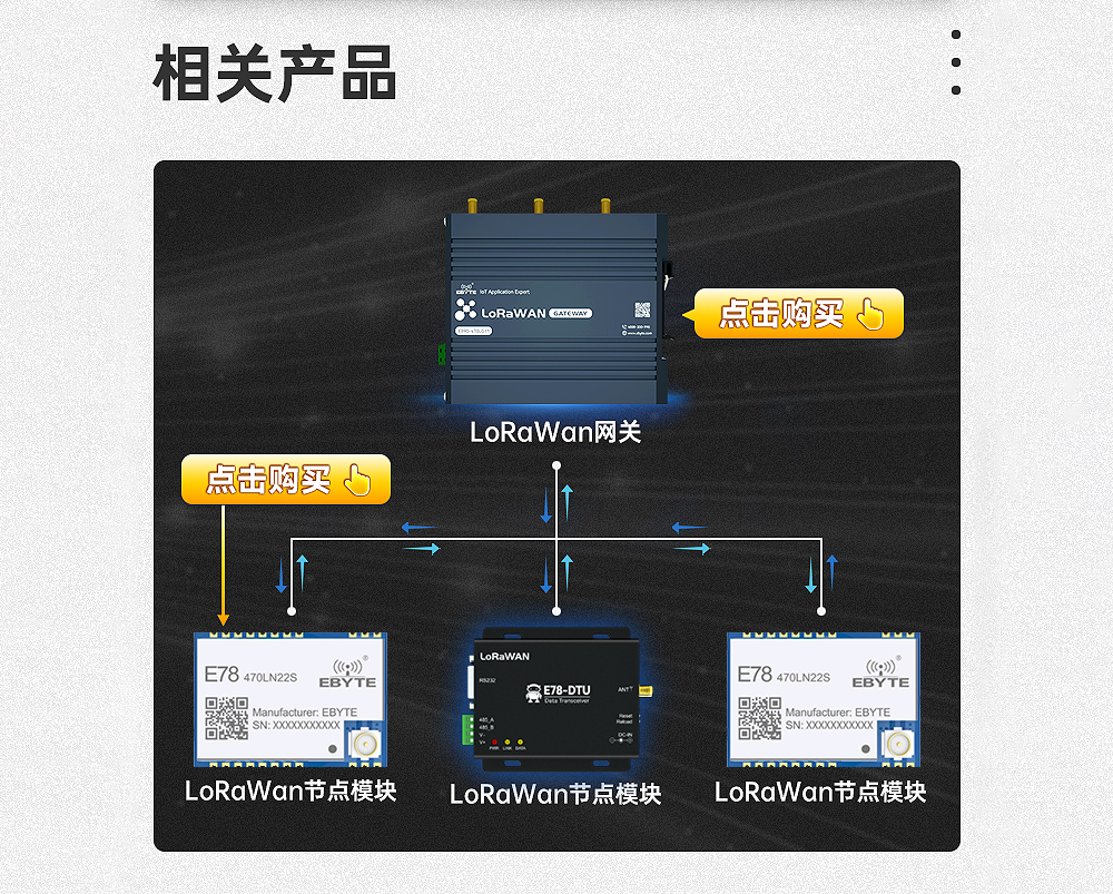 LoRaWAN數(shù)傳電臺