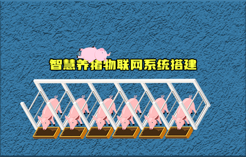 【科普視頻】智慧養(yǎng)豬物聯(lián)網(wǎng)系統(tǒng)如何搭建？有什么功能？