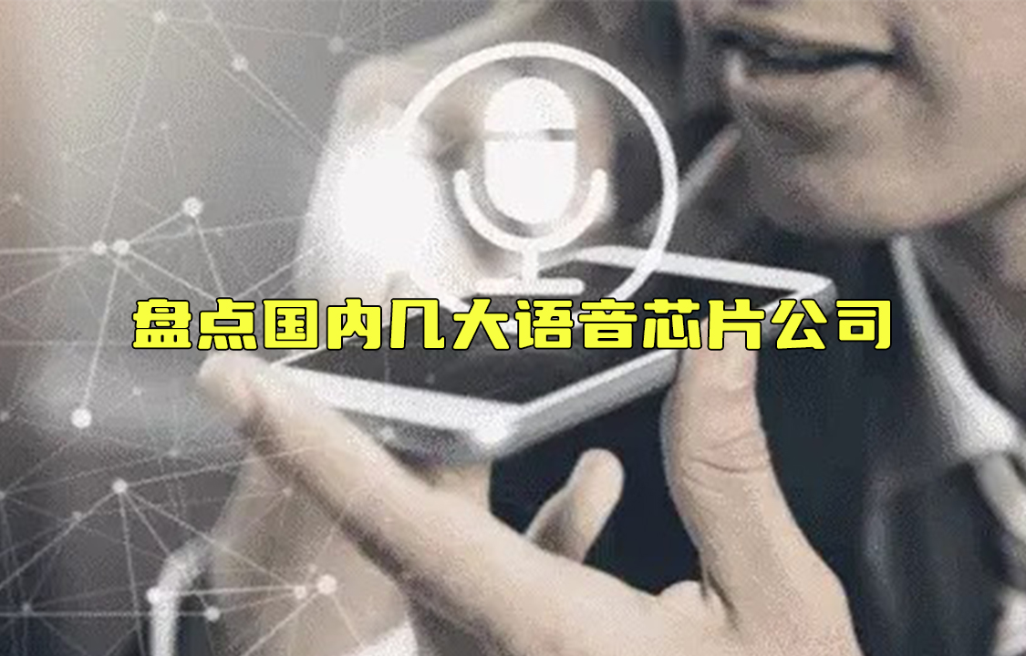 【科普視頻】盤點(diǎn)國(guó)內(nèi)幾大語音芯片公司