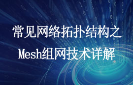 常見網(wǎng)絡拓撲結(jié)構(gòu)之Mesh組網(wǎng)技術詳解