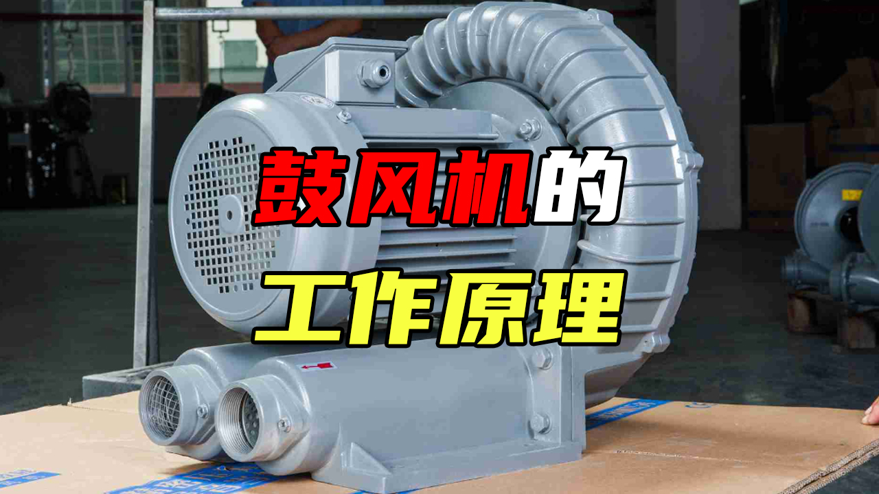 【科普視頻】鼓風(fēng)機(jī)的工作原理
