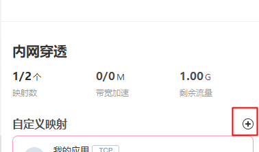 3 內(nèi)網(wǎng)穿透教程