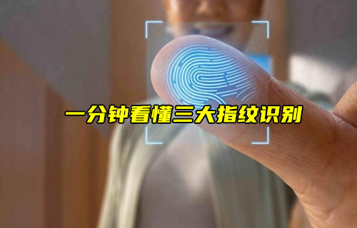 【物聯(lián)科普】一分鐘看懂三大指紋識別