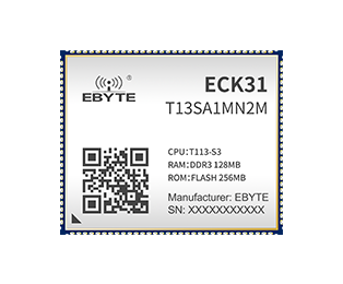 ECK31-T13SA1MN2M