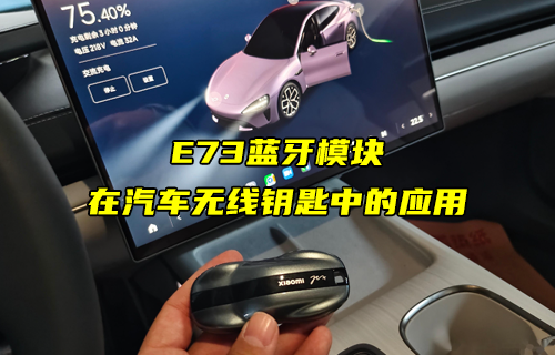 【藍(lán)牙模塊應(yīng)用方案】E73藍(lán)牙模塊在無(wú)線鑰匙中的應(yīng)用