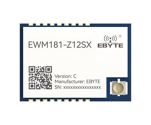 EWM181-Z12SX(C) (1)