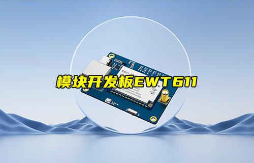 【新品推薦】遠(yuǎn)距離圖傳數(shù)傳模塊開發(fā)板EWT611-900NW20S